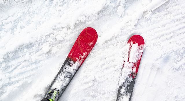 スキーの魅力を探る旅 スキーの魅力を探る旅