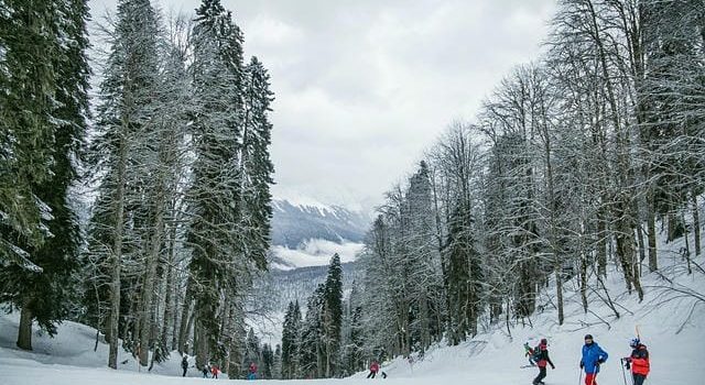 冬のスキー場で楽しむ魅力満載の旅行 冬のスキー場で楽しむ魅力満載の旅行