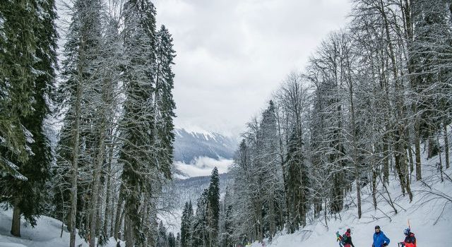 冬のエンターテイメント スキー場の魅力 冬のエンターテイメント スキー場の魅力